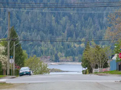 View 31