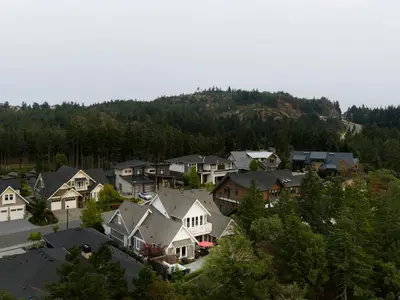 View 39