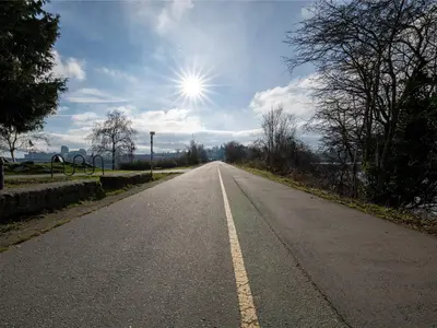 View 41