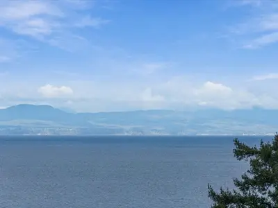 View 56