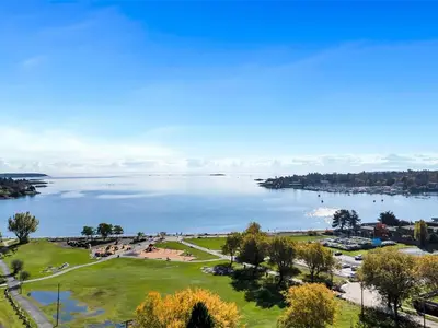 View 51