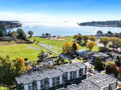 View 50