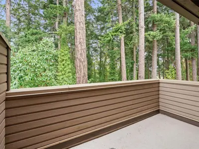 View 19