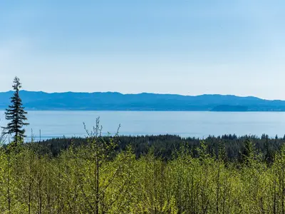 View 36