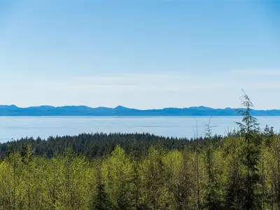 View 35