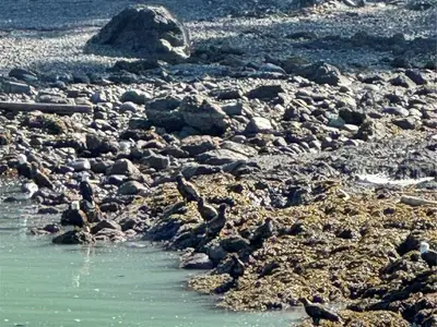 View 26