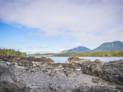 View 15