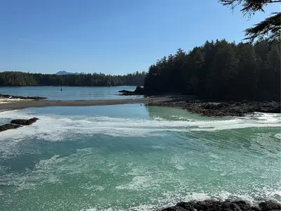 View 25