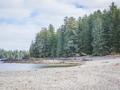 View 21