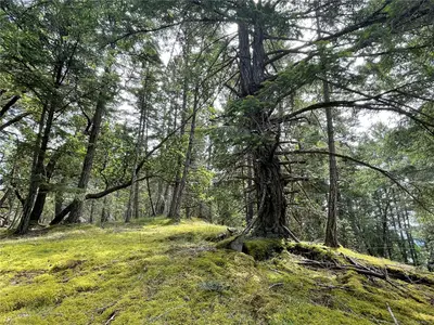 View 23