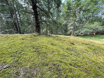 View 27