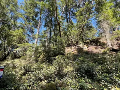 View 13