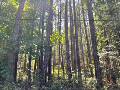 View 16
