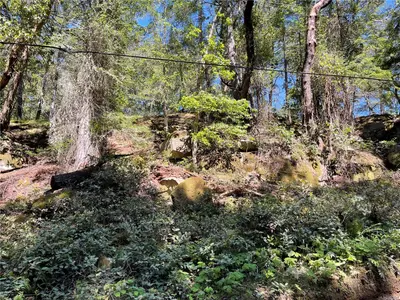 View 11