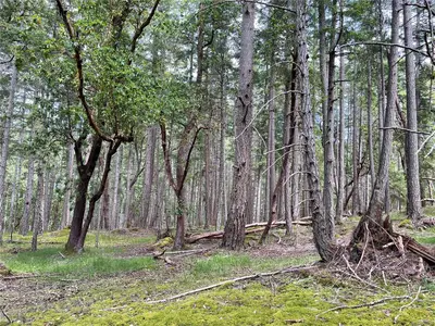 View 25