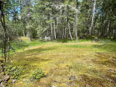 View 21