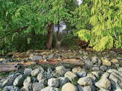 View 22