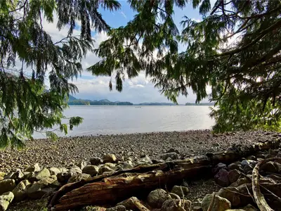 View 18