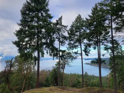 View 26