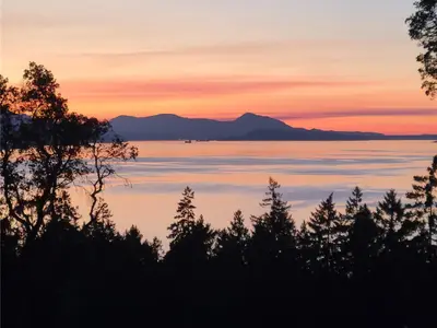 View 24