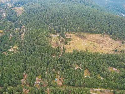 View 15
