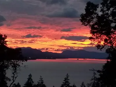 View 21