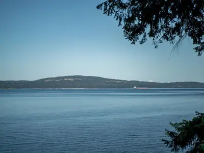 View 42