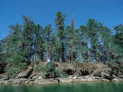 View 16
