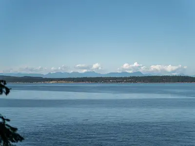 View 41