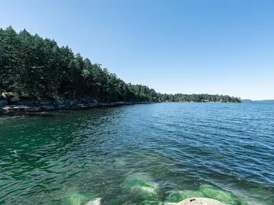 View 25