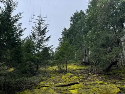 View 12
