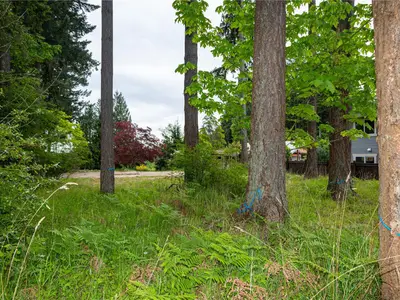 View 15