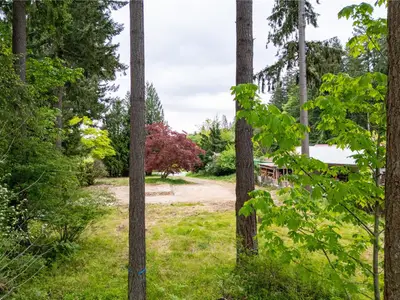 View 11
