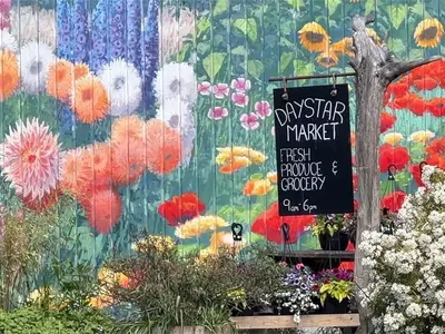 View 39