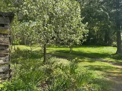View 29