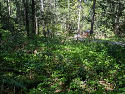 View 8