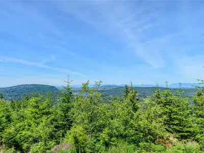 View 46