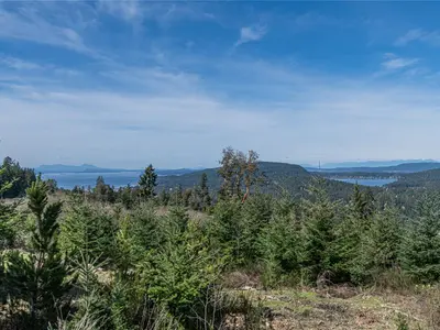 View 36