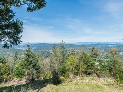 View 32