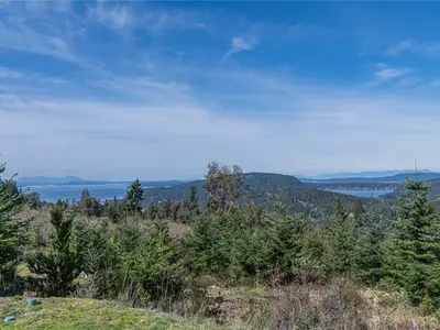 View 34