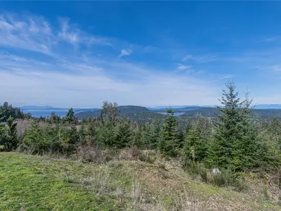 View 33