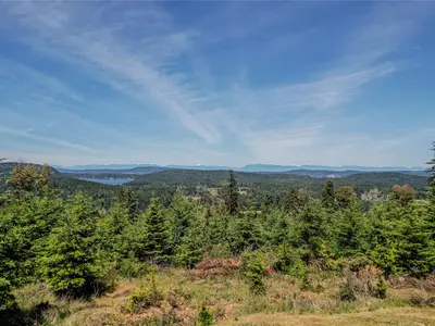 View 55