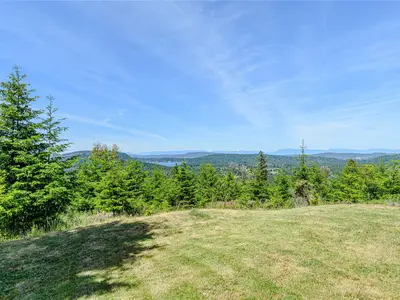 View 50