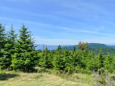 View 44