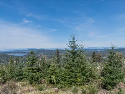 View 35