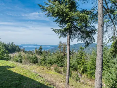 View 31
