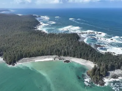 View 14