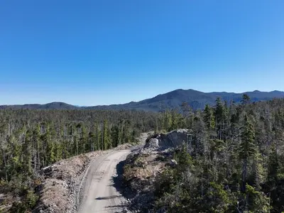 View 5
