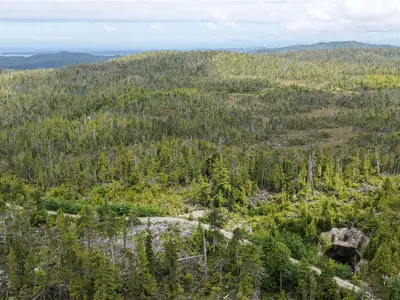 View 19