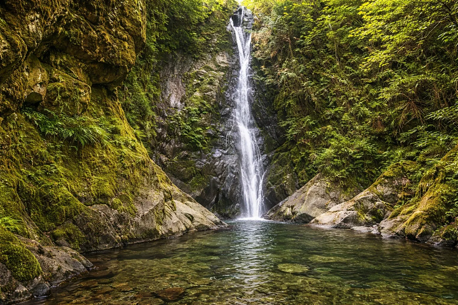 Goldstream Provincial Park — Park & Nature in Langford, Vancouver Island, BC